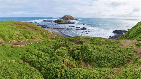 Seal Rocks Phillip Island Australie