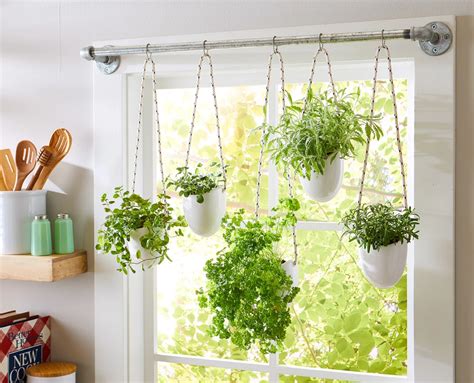 Hang Your Herbs Over A Window For Full Sun And Easy Access