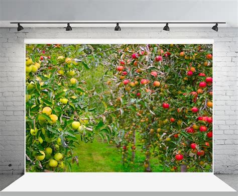 Laeacco 10x65 Vinyl Backdrop Apple Trees Orchard Garden Photography
