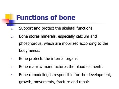 Ppt Bone And Alveolar Bone Powerpoint Presentation Free Download