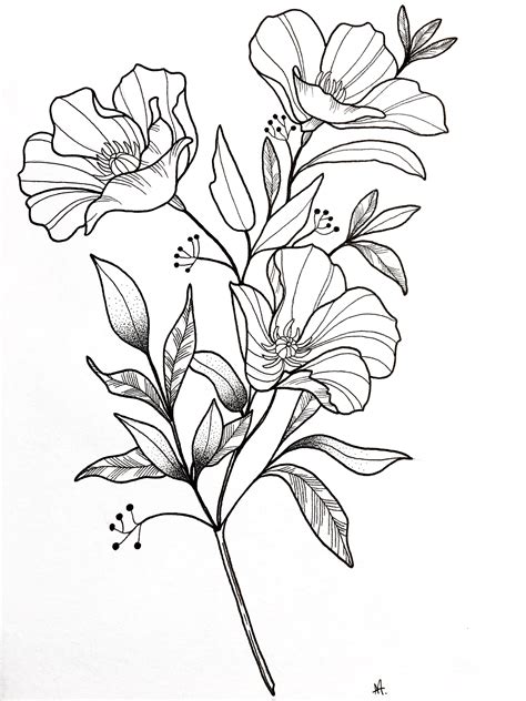 Easy Flower Tattoo Drawing Designs Entrepontos