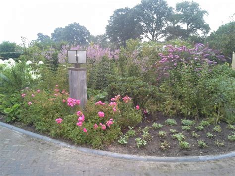 Aanleg Tuin Leeftuin Oude Wesselink Hoveniersbedrijf