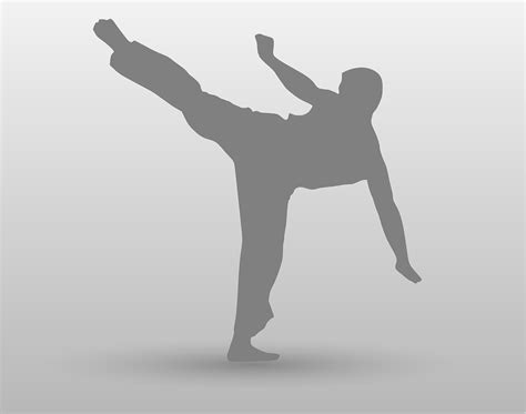 Free Vector Graphic Sidekick Karate Kick Free Image On Pixabay