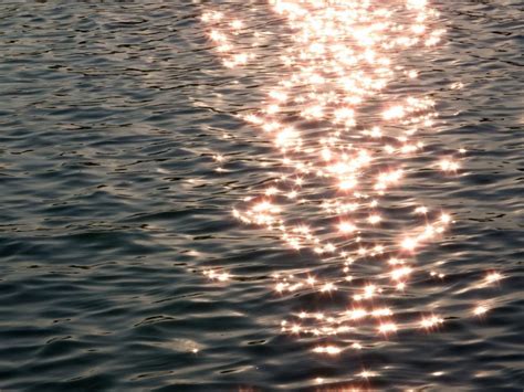 Free Stock Photo Of Sunlight Reflecting On Ocean Water Download Free
