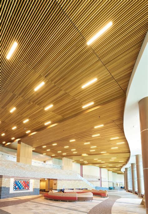 Curved Timber Ceiling Axis Decoration Ideas