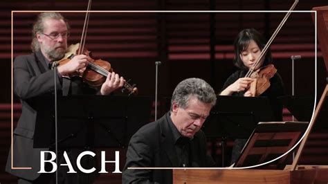 The st matthew passion performed by the netherlands bach society for all of bach. Bach - Harpsichord concerto in F minor BWV 1056 - Henstra ...