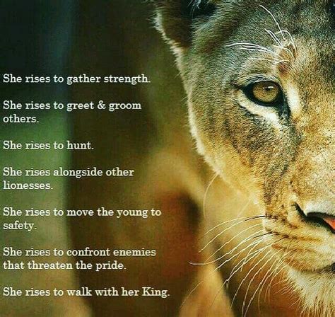 Best Word To Describe A Lioness