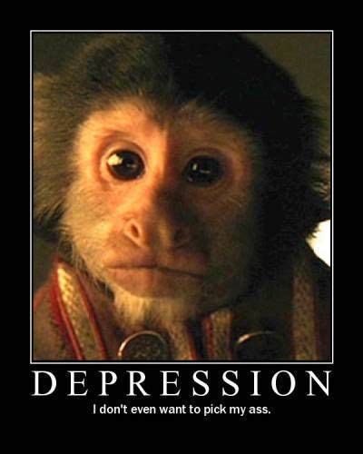 Depression Funny Pictures ~ Alcoolismof