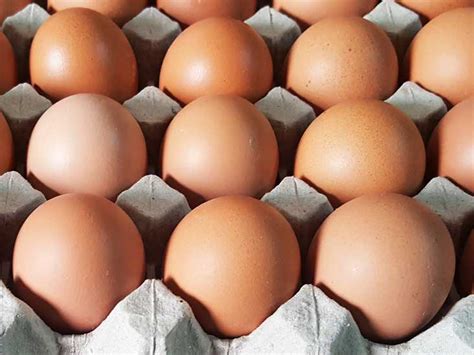 4 Simple Ways To Tell If An Egg Is Good Or Bad Quikadvise
