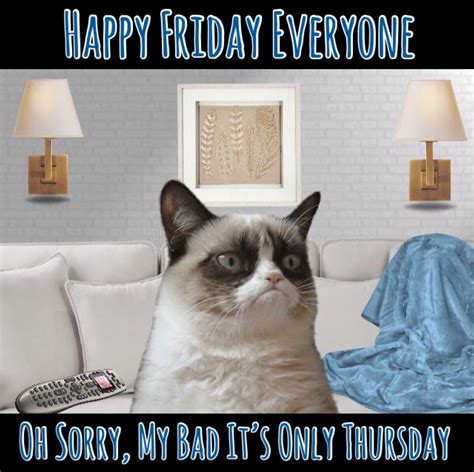 Grumpy Cat Says Happy Friday Everyone Oh Sorry My Bad Its Only