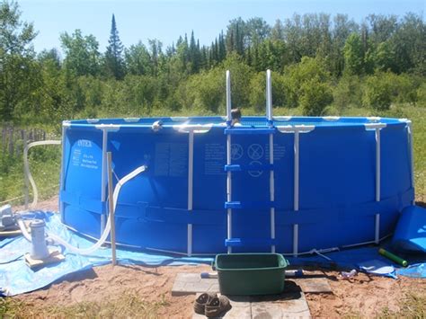 10 best trees to plant around a pool. Canaan Connexion - Tips and information for home owners