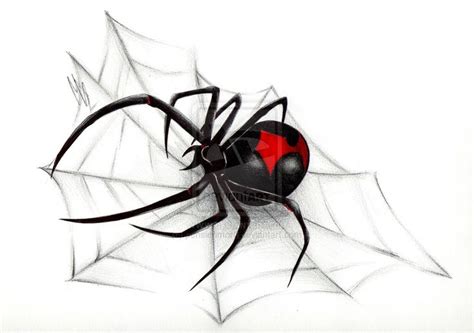 31 Best Black Widow Spider Tattoo Designs For Women Images On Pinterest