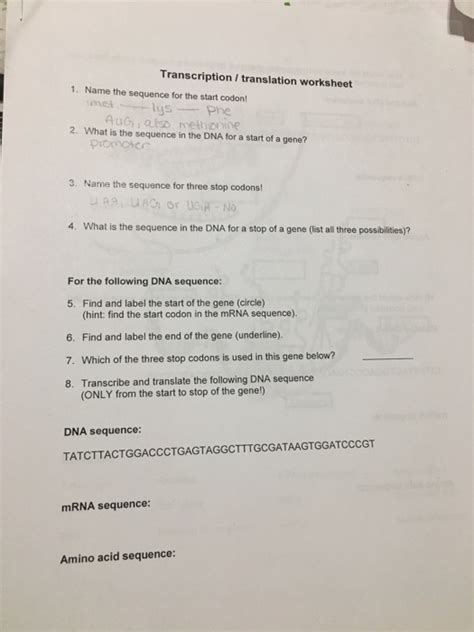 Data could be collected from all the. Solved: Transcription/translation Worksheet 1. Name The Se ...