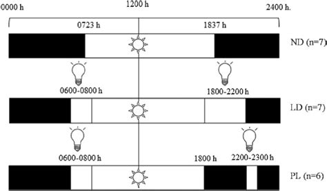 Schematic Representation Of The Different Photoperiodic Treatments Used