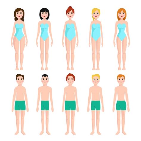 Premium Vector Illustration Of Different Body Shape Types