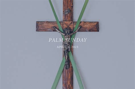 Palm Sunday Reflection By Fr Rudy Garcia
