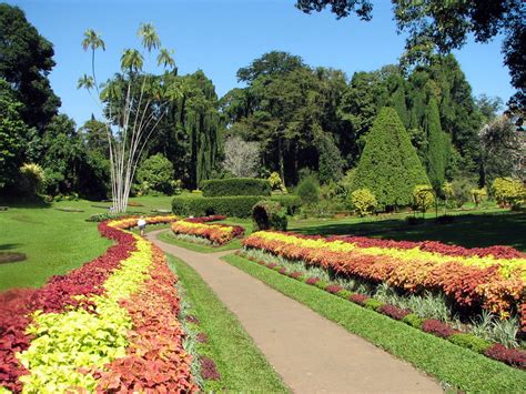 Asian Paradise Sri Lanka Peradeniya Botanical Garden