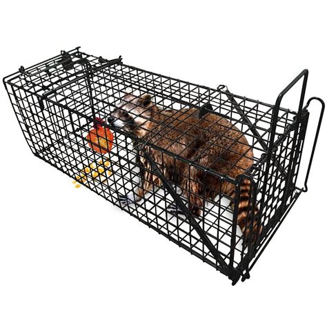 Amagabeli Humane Live Animal Trap 31x105x115 Catch Release Cage