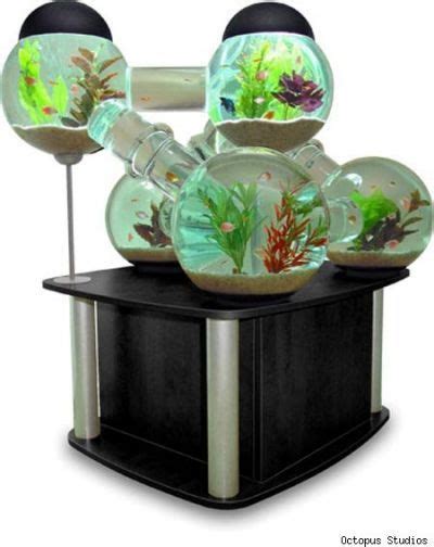 Unique Betta Fish Tanks Peceras En Casa Inventos