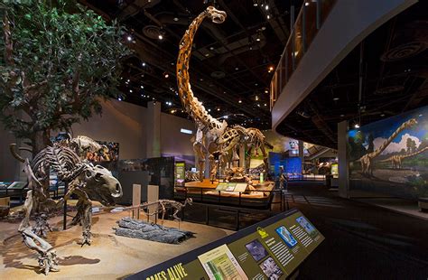 Perot Museum Of Nature And Science Upcoming Events In Dallas On