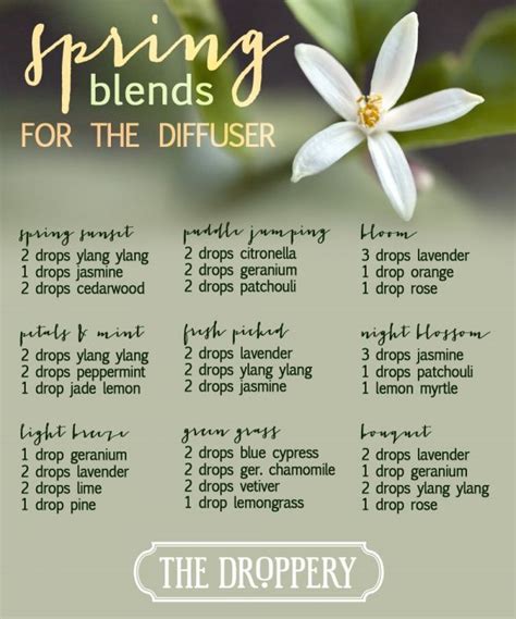 Spring Will Be Here Soon Diffuser Blends Essential Oil Remedy