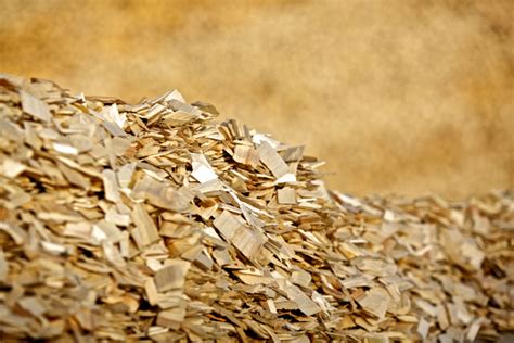 What Is Pulp Paper Naturallywood
