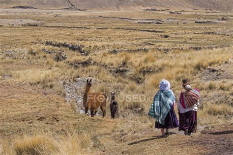 Bolivia La Paz District Altiplano Two Aymara Women Walking Trough