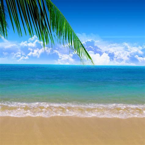 Free Download Wallpaper Summer Beach Backgrounds Desktop 2610 Hd
