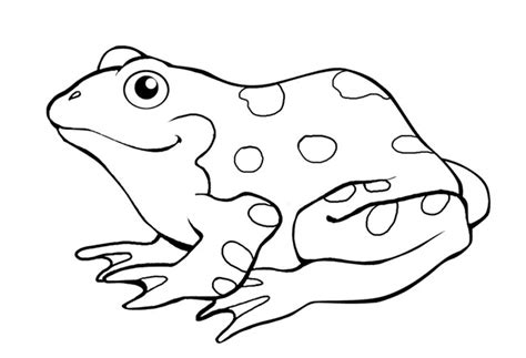 Frog Outline Free Download Clip Art Webcomicmsnet