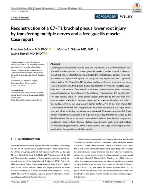 Pdf Reconstruction Of A C7t1 Brachial Plexus Lower Root Injury By