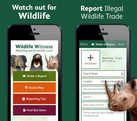 Jun 15, 2021 · t.j.'s wagging & walking forecast 6/15/21. Wildlife Witness: the App that Lets You Report Wildlife ...