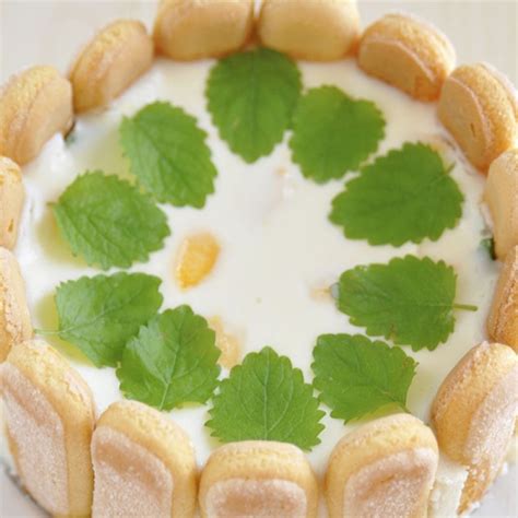 View top rated desserts using lady fingers recipes with ratings and reviews. Cheesecake With Ladyfingers Recipe | Lady fingers recipe ...