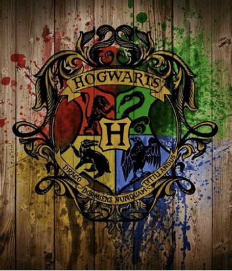 Which Hogwarts House You Belong In Quiz