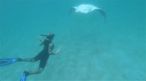 Spectacular Manta Ray Encounter On The Great Barrier Reef Youtube