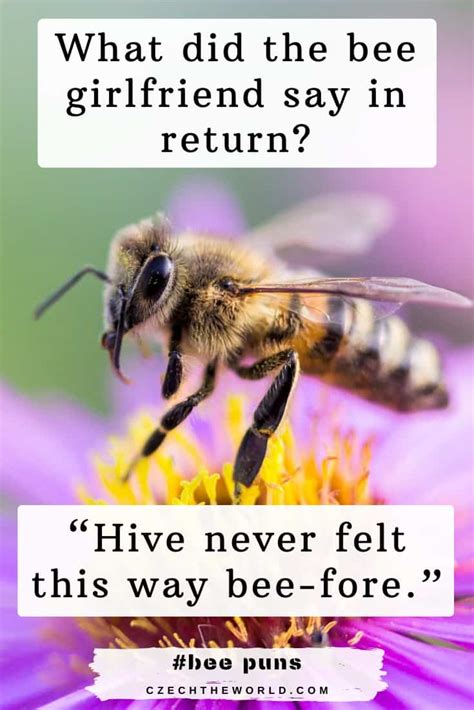153 Best Bee Puns That Are Un Bee Lievably Bee Autiful 2022