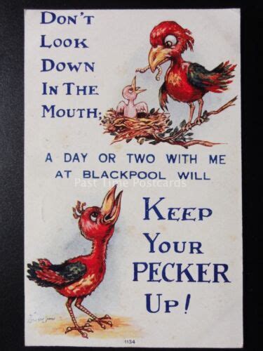 Stocker Shaw Don T Look Down In The Mouth Keep Your Pecker Up Blackpool C Ebay