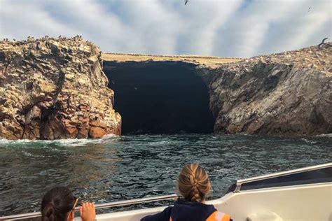 Paracas Morgendliche Bootstour Zu Den Islas Ballestas Getyourguide