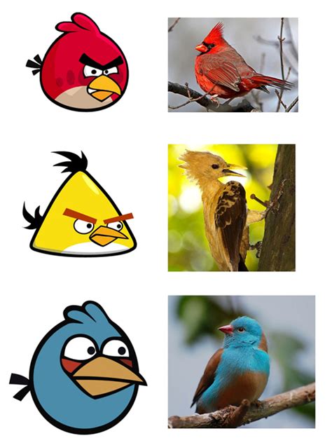 Angry Birds Online Game Angry Birds True In Real Life