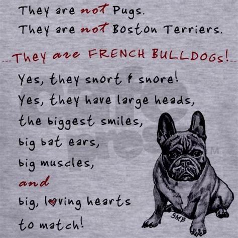 The name you decide on will be used day in and day out for the rest of your new companion's life. They are French Bulldogs | French bulldog, Bulldog ...