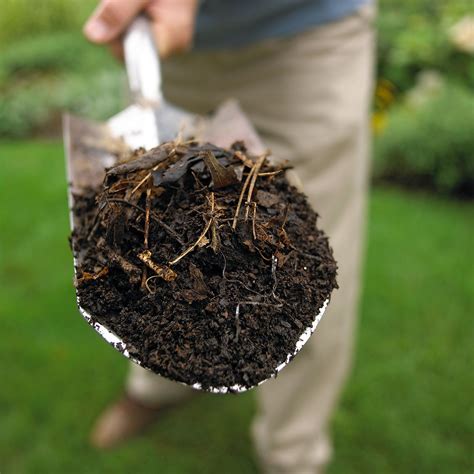 How To Fix Clay Soil For Vegetable Garden Fasci Garden