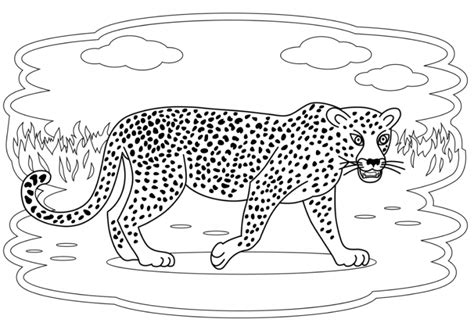 Los Mejores Dibujos De Jaguares Para Colorear ☀️