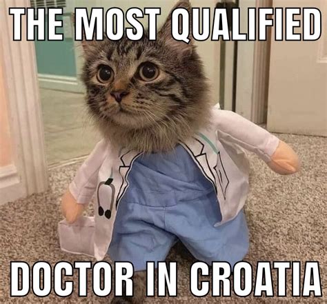Lol Get It Its A Cat And Cant Be A Doctorit Cant Be A Doctor