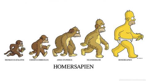 Funny Illustrations Of Evolution Of Man 42 Pics Stationgossip