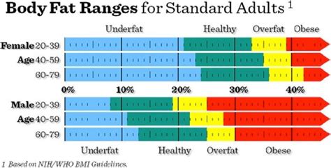 Common Body Measurements Empowering Vitality