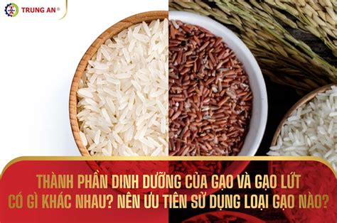 Thành phần dinh dưỡng của gạo có gì So sánh gạo lứt và gạo trắng