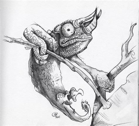 Ge… written by adsenser sunday, july 25, 2021 add. Jackson chameleon | Jackson chameleon, Drawings, Art