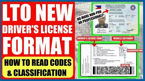 Lto New Drivers License Format How To Read Codes And Classification