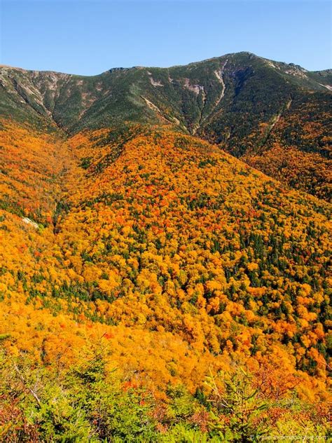 Best Hikes In New Hampshire For Foliage Isabella Wiese
