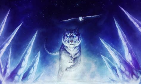 2560x1706 2560x1706 Computer Wallpaper For White Tiger