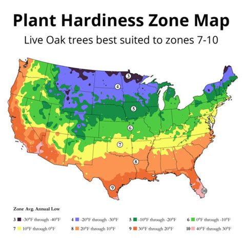 Hardiness Zone Map Texas